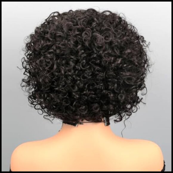 Short Curly Human Hair Wig Pre Plucked HD Lace Glueless Pixie Cut Bob main image 4